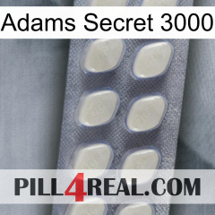 Adams Secret 3000 08